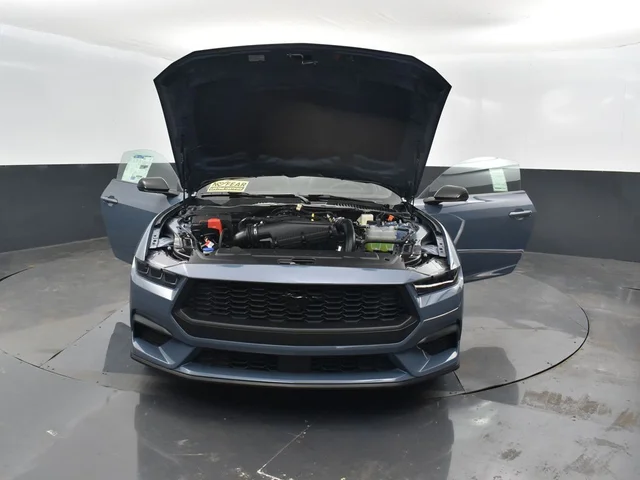 Nuevos FORD MUSTANG à Estados chez autogozo