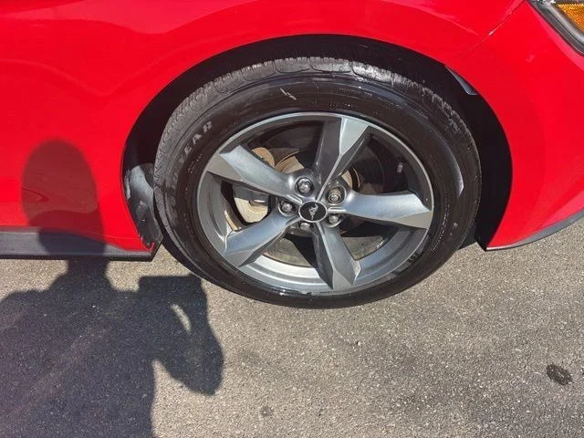 SEMINUEVOS FORD Mustang a Estados en autogozo