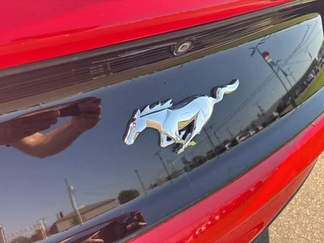 SEMINUEVOS FORD Mustang a Estados en autogozo