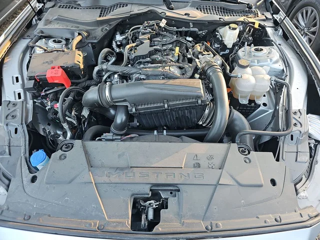 SEMINUEVOS FORD Mustang a Estados en autogozo
