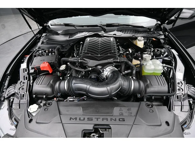 Nuevos FORD MUSTANG à Estados chez autogozo