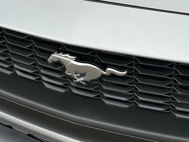 SEMINUEVOS FORD Mustang a Estados en autogozo