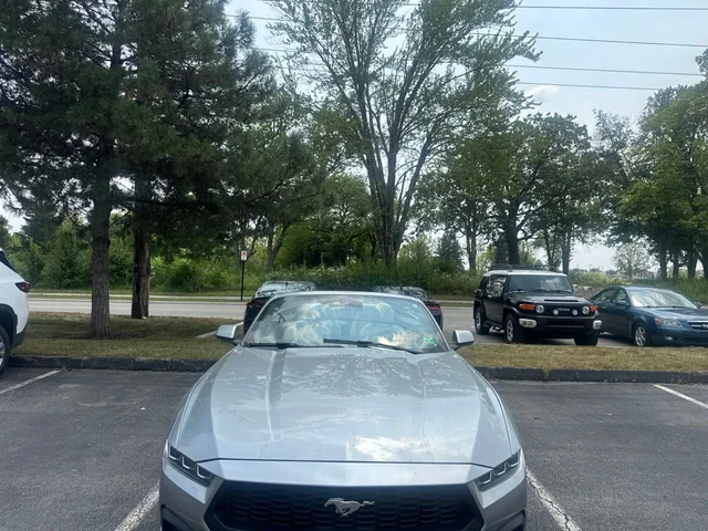 SEMINUEVOS FORD Mustang a Estados en autogozo
