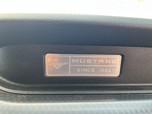 SEMINUEVOS FORD Mustang a Estados en autogozo