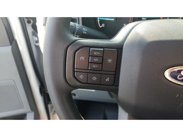 Nuevos FORD F-450SD à Estados chez autogozo
