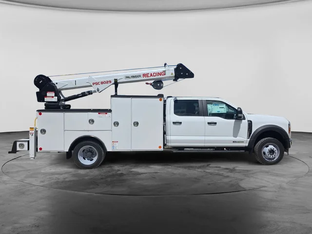 Nuevos FORD F-550SD à Estados chez autogozo