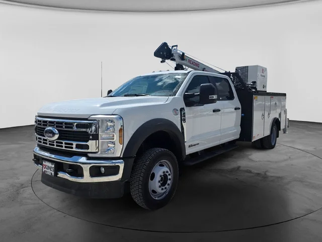 Nuevos FORD F-550SD à Estados chez autogozo