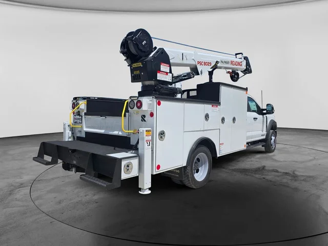 Nuevos FORD F-550SD à Estados chez autogozo