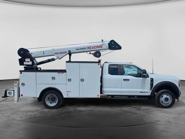 Nuevos FORD F-550SD à Estados chez autogozo