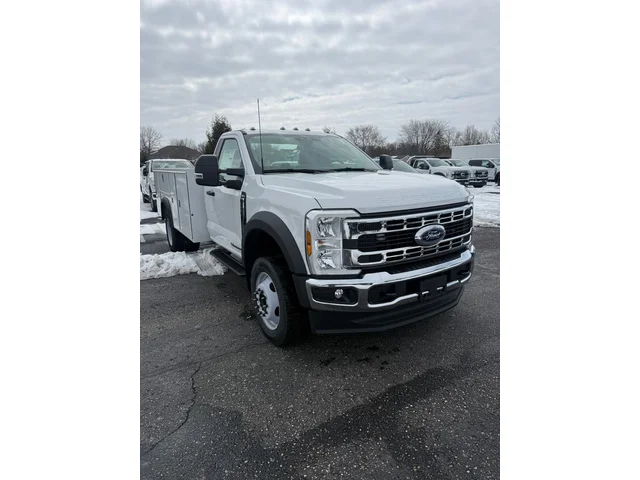 Nuevos FORD F-450SD à Estados chez autogozo