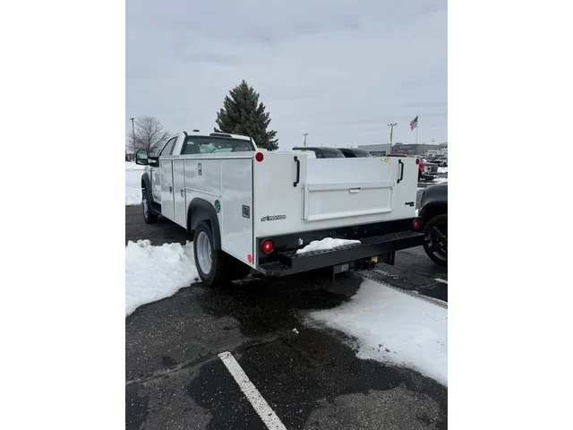 Nuevos FORD F-450SD à Estados chez autogozo
