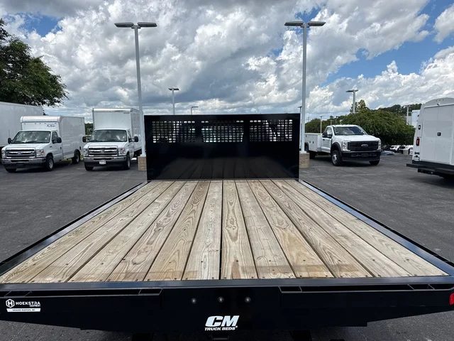 Nuevos FORD F-450SD à Estados chez autogozo