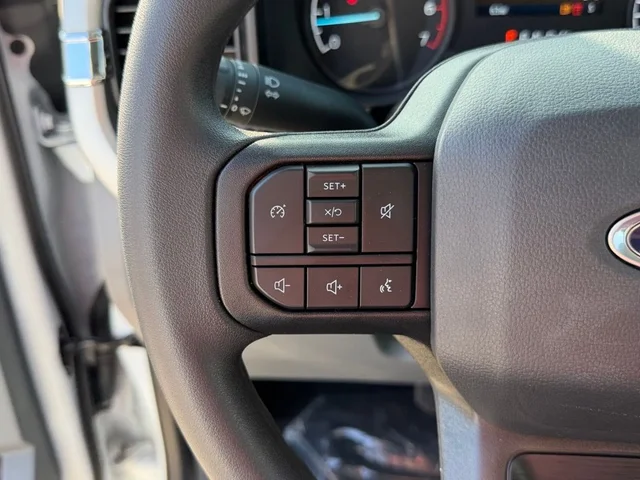 Nuevos FORD F-550SD à Estados chez autogozo