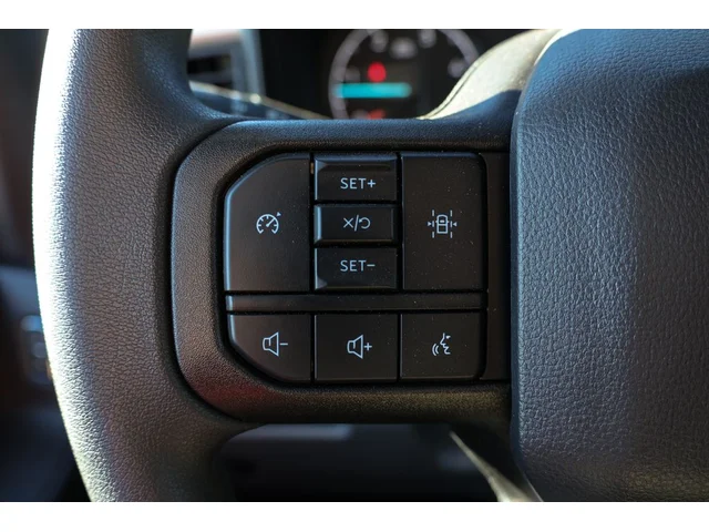 Nuevos FORD F-550SD à Estados chez autogozo