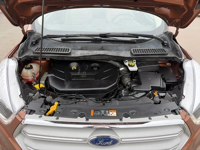 SEMINUEVOS FORD Escape a Estados en autogozo