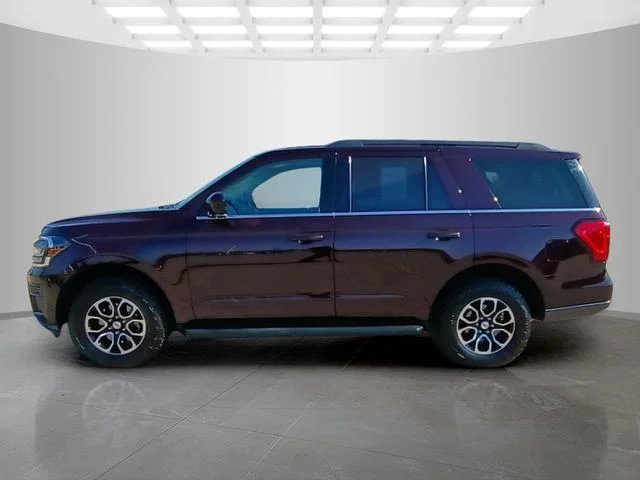 SEMINUEVOS FORD Expedition a Estados en autogozo