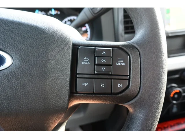 Nuevos FORD F-250SD à Estados chez autogozo