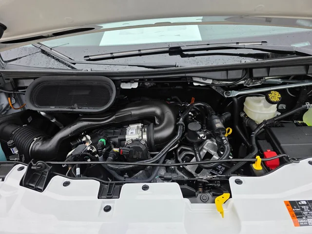 Nuevos FORD TRANSIT-250 à Estados chez autogozo