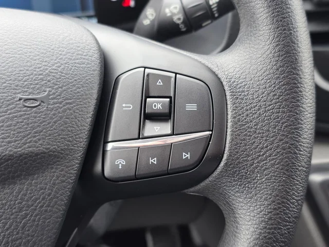 Nuevos FORD TRANSIT-250 à Estados chez autogozo