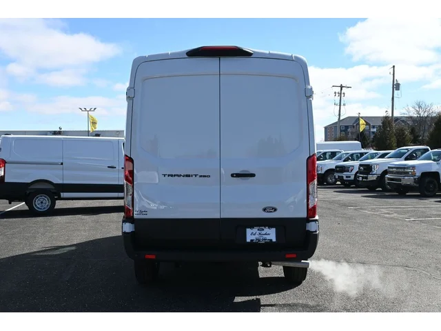 Nuevos FORD TRANSIT-250 à Estados chez autogozo