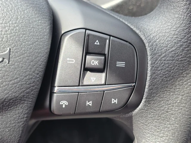 Nuevos FORD TRANSIT-250 à Estados chez autogozo
