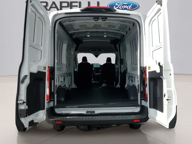 Nuevos FORD TRANSIT-250 à Estados chez autogozo
