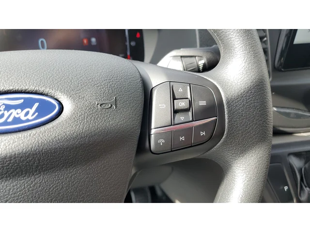 Nuevos FORD TRANSIT-250 à Estados chez autogozo