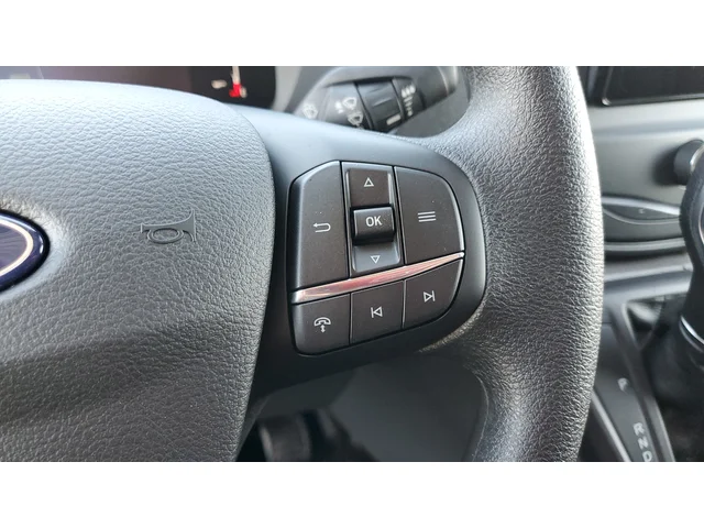 Nuevos FORD TRANSIT-250 à Estados chez autogozo