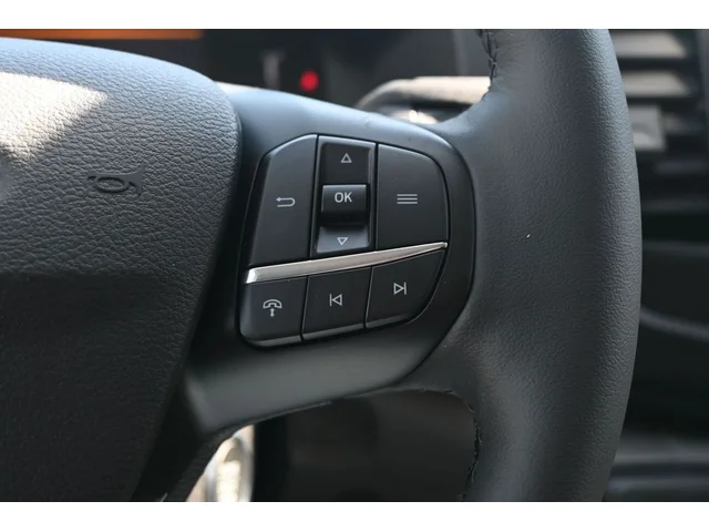 Nuevos FORD TRANSIT-250 à Estados chez autogozo