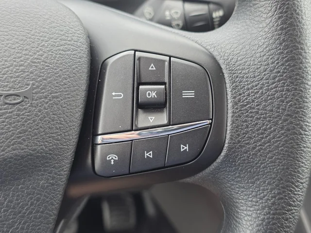Nuevos FORD TRANSIT-250 à Estados chez autogozo
