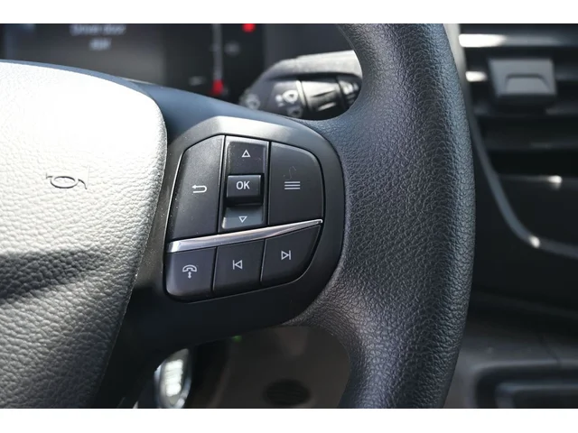 Nuevos FORD TRANSIT-250 à Estados chez autogozo