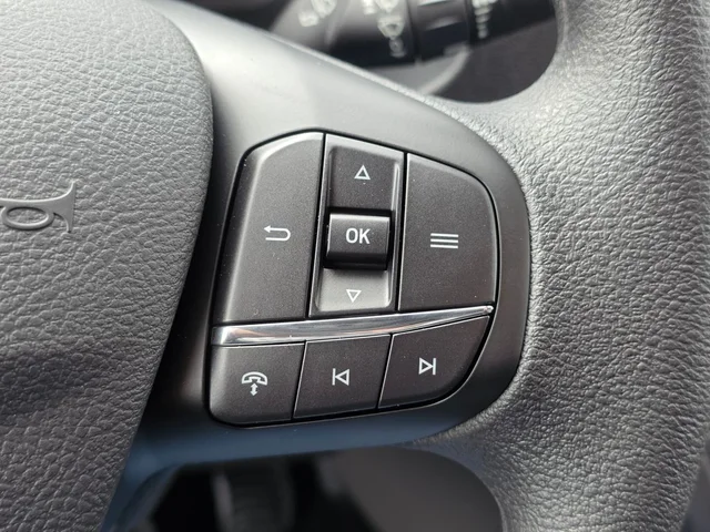 Nuevos FORD TRANSIT-250 à Estados chez autogozo