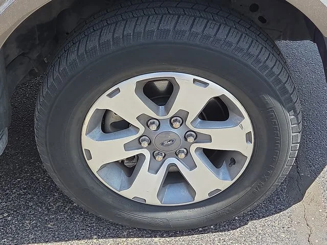 SEMINUEVOS FORD F-150 a Estados en autogozo