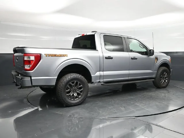 SEMINUEVOS FORD F-150 a Estados en autogozo