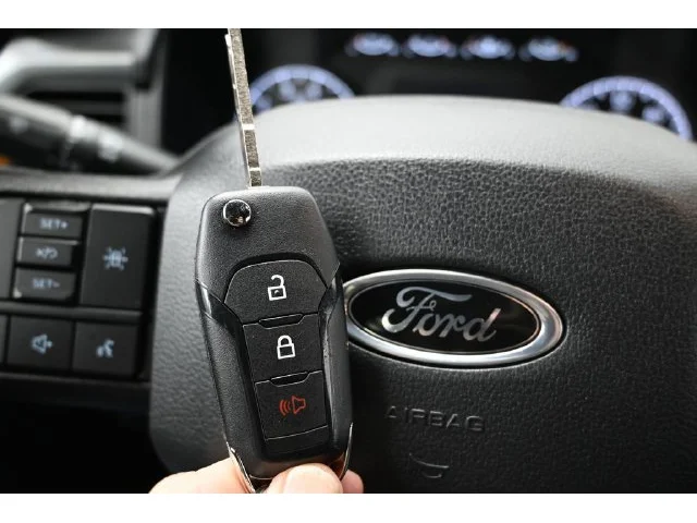 SEMINUEVOS FORD F-150 a Estados en autogozo
