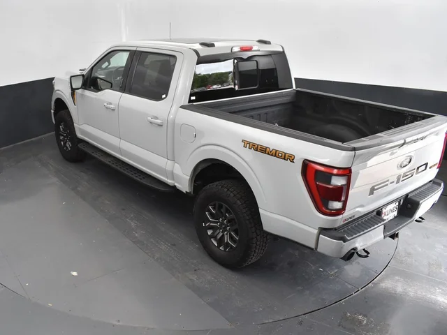 SEMINUEVOS FORD F-150 a Estados en autogozo