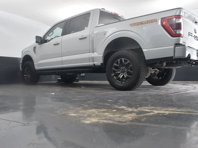 SEMINUEVOS FORD F-150 a Estados en autogozo