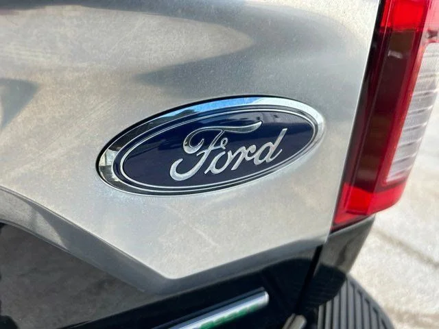 SEMINUEVOS FORD F-150 a Estados en autogozo
