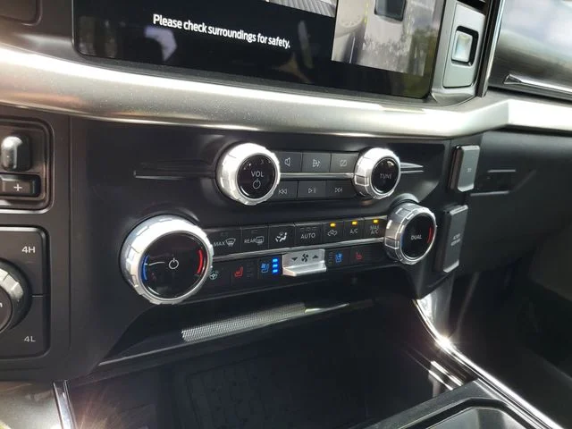 SEMINUEVOS FORD F-150 a Estados en autogozo
