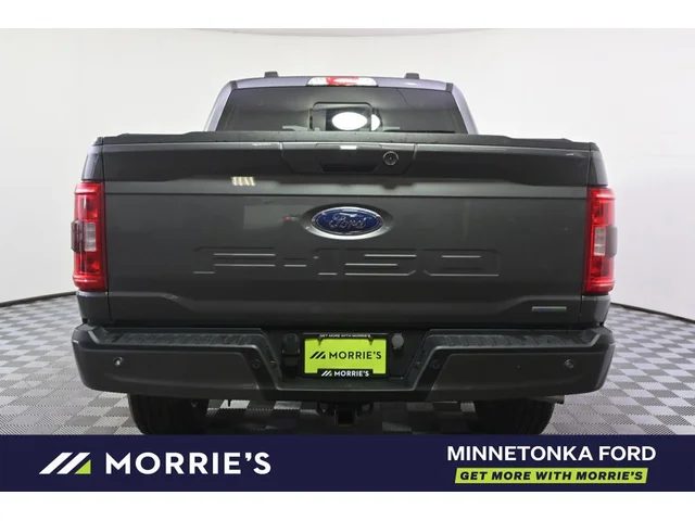SEMINUEVOS FORD F-150 a Estados en autogozo