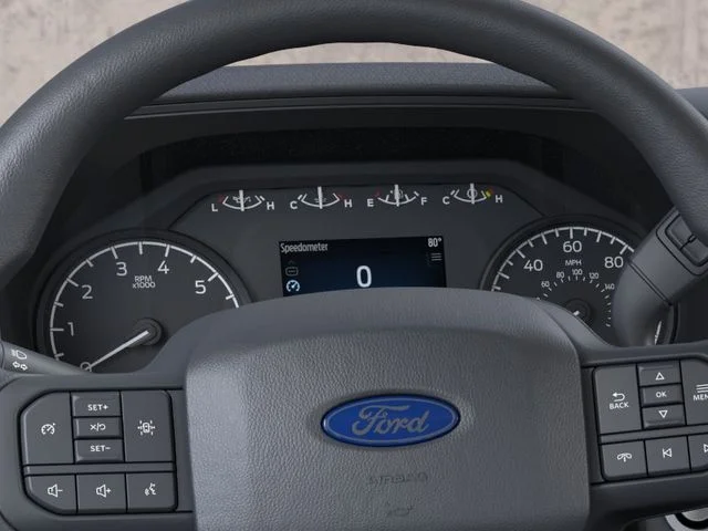 Nuevos FORD F-150 à Estados chez autogozo