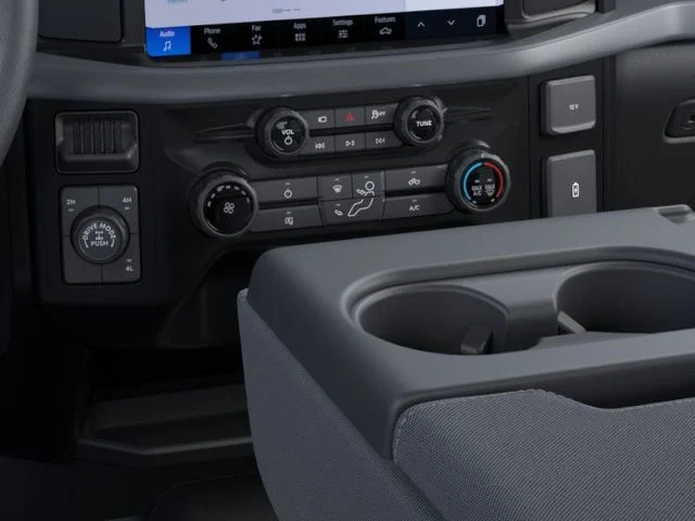 Nuevos FORD F-150 à Estados chez autogozo