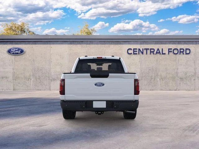 Nuevos FORD F-150 à Estados chez autogozo
