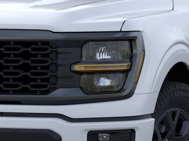 Nuevos FORD F-150 à Estados chez autogozo