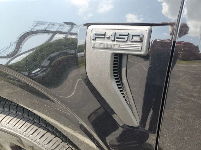 Nuevos FORD F-150 à Estados chez autogozo