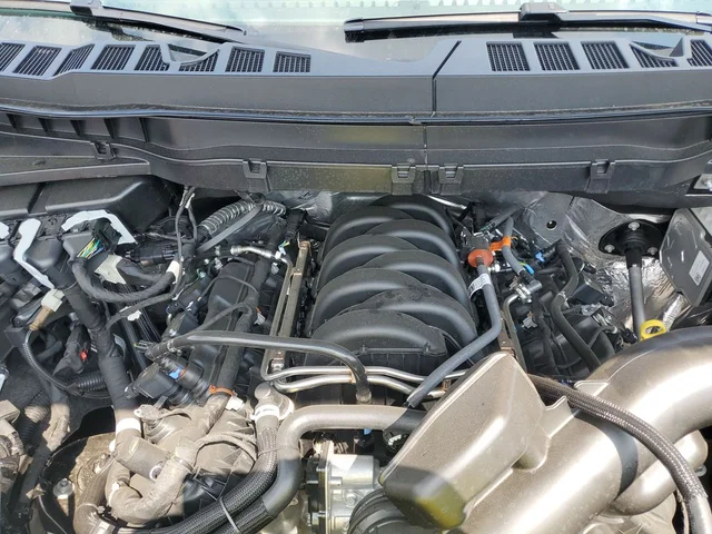 Nuevos FORD F-150 à Estados chez autogozo