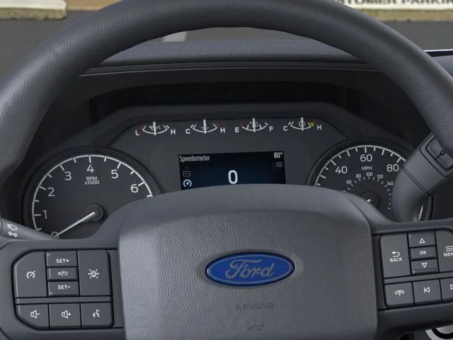 Nuevos FORD F-150 à Estados chez autogozo