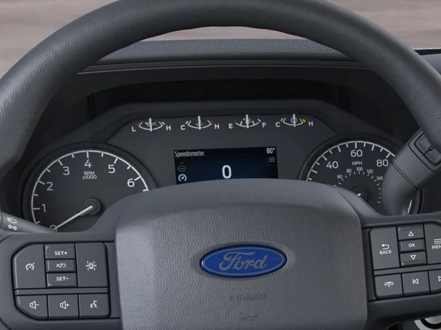 Nuevos FORD F-150 à Estados chez autogozo