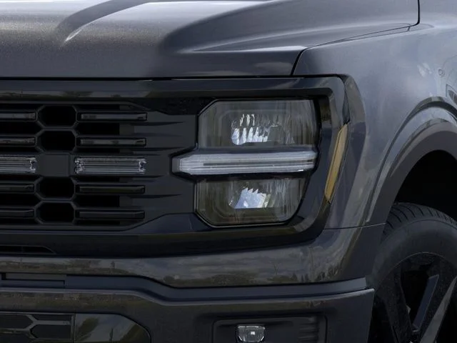 Nuevos FORD F-150 à Estados chez autogozo