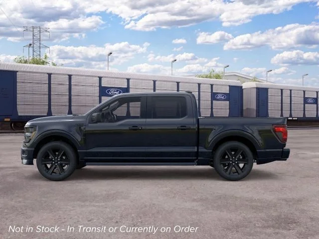 Nuevos FORD F-150 à Estados chez autogozo